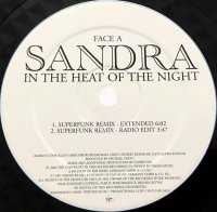 IN THE HEAT OF THE NIGHT